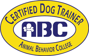 Certified Dog Trainer in Las Vegas 