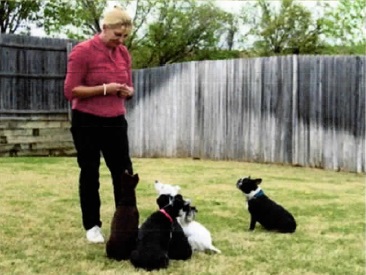 Woman training 5 small dogs in an advanced dog training class