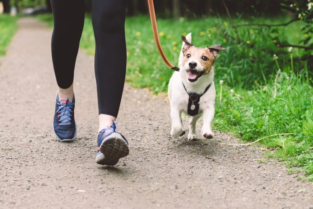 woman running with dog on leash walking